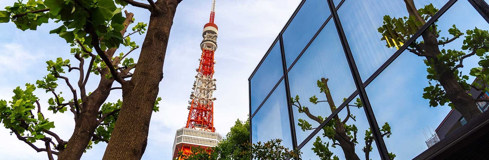 Home alden graff image 13.jpeg